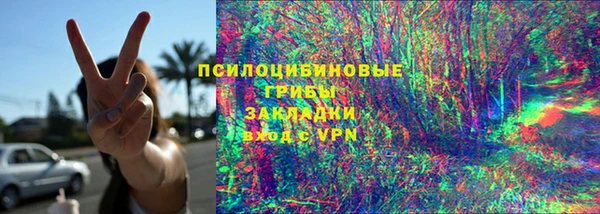 индика Алексеевка