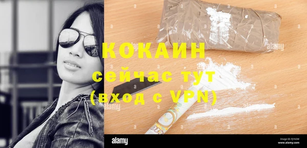 индика Алексеевка